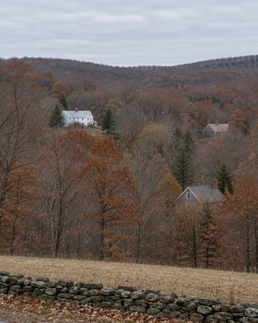 Rooftops and chimneys of scattered houses among wooded hills in late autumn